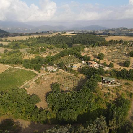 Вилла Agriturismo Pozzo Dei Cocci Morleschio Экстерьер фото