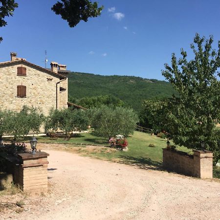 Вилла Agriturismo Pozzo Dei Cocci Morleschio Экстерьер фото
