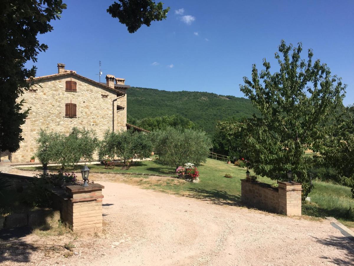 Вилла Agriturismo Pozzo Dei Cocci Morleschio Экстерьер фото